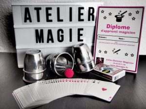 Magicien spectacle école
